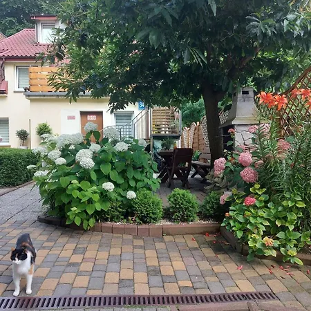 Z Lazienka Zwyciestwa Homestay szállás